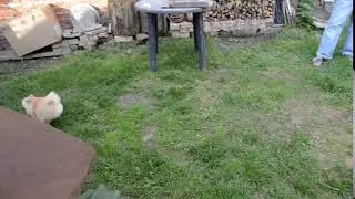 video 3