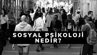 Sosyal Psikoloji Nedir? Psikolojinin Diğer Alt Alanlarından Farkları Nelerdir?