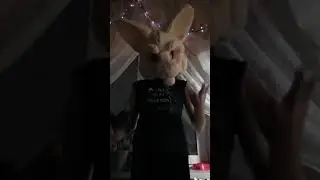 Просто новогоднее видео)