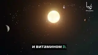 Растущие кости: Внутренняя история вашего скелета