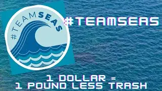 Very Important video. #TeamSeas