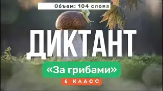 Входной ДИКТАНТ по русскому языку — 6 класс | Текст «За грибами»