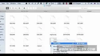 How to change BMW INPA Language?