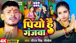 #Video | पियो है गंजवा | #Dhiraj Singh Golden | Piyo Hai Ganjawa | Maghi Bolbam Song 2024