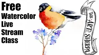 Live streaming watercolor class Funny Fall Bird on Twig | TheArtSherpa