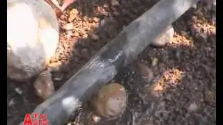 Технологии из Израиля