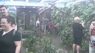 S vnučkami na výletě