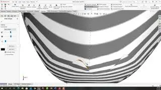 Zebra Stripes