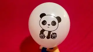 FUN PANDA BEAR BALLOON INFLATION AND DEFLATION!!!