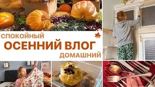 Уютно как дома🍁Осенняя уборка – зеркала и двери 🫧Осенние покупки для дома🎃Рецепт печеных яблок🍎