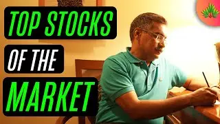 Top Stocks of the Market