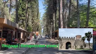 Пицунда, прогулка по Кипарисовой аллее и реликтовой сосновой роще.