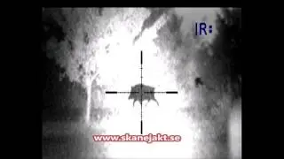 Pulsar Digisight N970 LRF