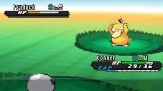 Where to get Psyduck in Pokemon Black 2 and White 2-Kanto University Graduate Submission