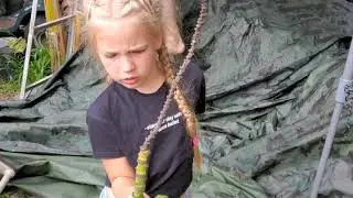 Домашние 🍌 бананы