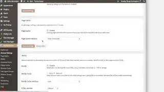 How to configure W3 Total Cache - Niche Site Project