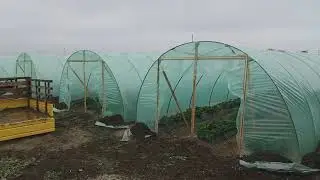 Клубника только в перед! выбор пленки которой я накрываю теплыцы, обзор конструкции моих балаганов