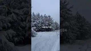 Готовим сани к лету