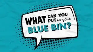 What can you put in your blue bin?