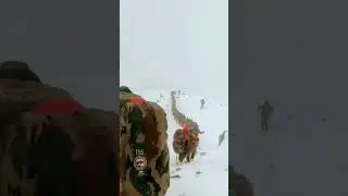 Snow Trek 