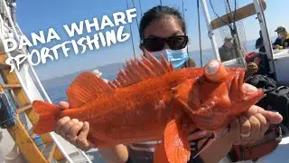 GROUPON DANA POINT WHARF SPORTFISHING !!!