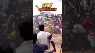 SKV BROTHERS AT D.Kothapalli🔥👑 #trendingshorts #trendingvideo #jallikattukalai #jallikattu