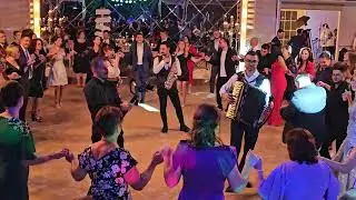 Live IONELA ANGHEL POPA șu Formația Nuntă Patricia ❤️ Ștefăniță