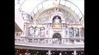 belgian daddy