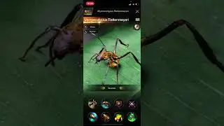 My opinion on pure shooter squads, predator, basic fighting mechanics & combat speed in the Ants