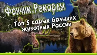 Фончик. Рекорды. Топ 5 самых больших животных России