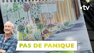 Pas de panique/3 ans après : plate-bande imposante et colorée en transparence - Silence, ça pousse !