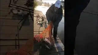 Улетный улов за ночь