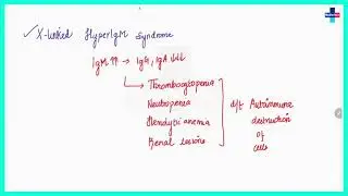 Immunodeficiency Disorder ll Free Microbiology Chapterwise lectures ll