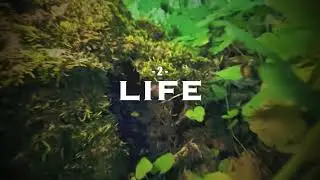 (2) LIFE -- What next?