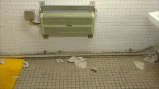 NYC Subway Public Restrooms:  South Ferry --  Whitehall Street