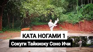 🔥Сокуги Тайкиоку Соно Ичи - Ката Киокушинкай Каратэ!🔥Sokugi Taikyoku Sono Ichi - Kata Kyokushinkai