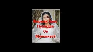 Хочи Мирзо Оё Мункинаст ин либосро пушидан