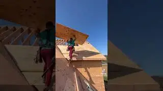 #shorts
