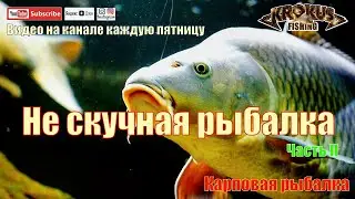 Карповая рыбалка. Не скучная рыбалка. часть II