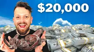Unbelievable: What Happens When You Invest in WORMS?