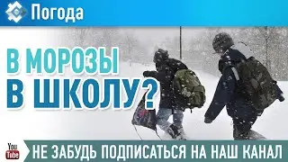 Определена температура воздуха, при которой можно не идти в школу