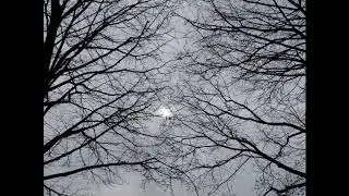 Melancholy Moon - Brian Crain