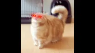 Yeh, I fuckin` did it