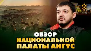 Какие цели ставит республиканская палата Ангус?