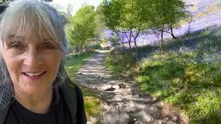 West Highland Way 2024 - Day 3: the one with the bluebells!