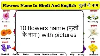 What is the 10 flowers name?