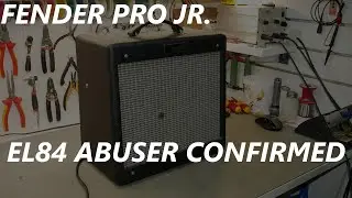 Fender Pro Jr + Ranty Mc Rantface