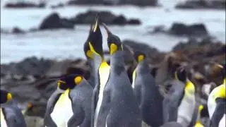 hd video tanıtımı.mkv