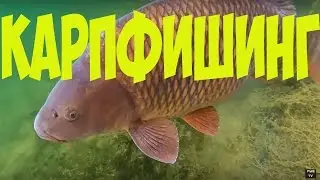 Рыбалка .Карп клюёт под водой.Карпфишинг.Carp fishing