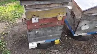Упрощение содержания семей методом их сдваивания